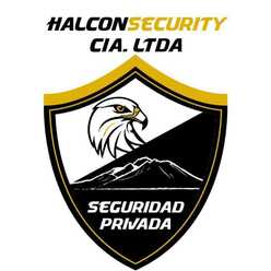 halconsecurity.net